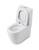 Naples Comfort Height Back-to-Wall Suite [310548]