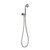 Wiltern Hand Shower Brushed Carbon [321602]