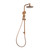 Matcha Twin Shower Brushed Bronze [318963]