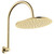 Empire Slim Curved Shower Arm Set Urban Brass [320496]