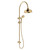 Lillian Twin Shower Urban Brass [325709]
