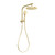 Vivid Slimline Compact Twin Shower Brushed Gold [278843]