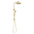 Vivid Slimline Twin Shower Brushed Gold [278992]