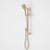 Luna Multifunction Rail Hand Shower Brushed Brass [194624]
