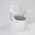 Care 660 Cleanflush® Wall Faced Close Coupled Easy Height Back Entry Suite w/Nurse Call Armrests Right & Caravelle Double Flap Seat Anthracite Grey NTH 4Star [191963]