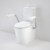 Care 660 Cleanflush® Wall Faced Close Coupled Easy Height Back Entry Suite w/Armrests & Caravelle Double Flap Seat White 4Star [191968]