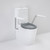 Care 660 Cleanflush Wall Faced CC Easy Height BI Suite with Nurse Call Armrests Right and Caravelle Single Flap Seat AG [191989]