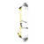 Mathews Title 38 yellow