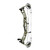 Hoyt Alpha X 33 Compound Hunting Bow