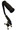 RCN0300 Step Up Quad Cane