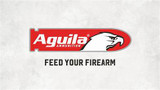 Aguila