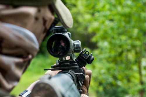 AR-15 Offset Iron Sights With View-Through Sight Pictures