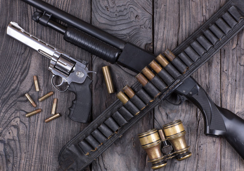 Best Bear Defense Guns: Top Handguns, Rifles, and Shotguns
