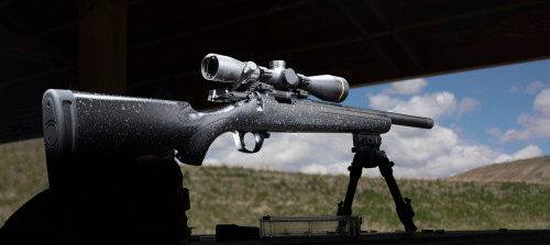 Best Rimfire Scopes & Optics for .22LR Rifles & Pistols