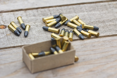Best .22 LR Rimfire Ammo: Top Picks for Accuracy, Hunting, and Plinking