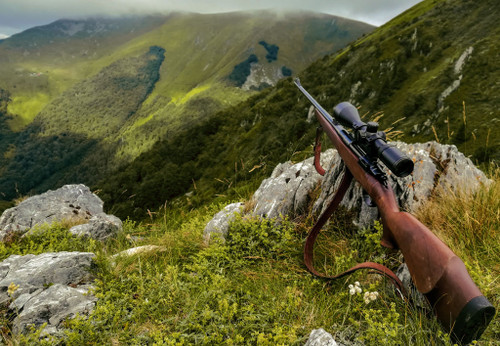 Best .270 Winchester For Your Next Game Harvest