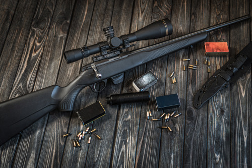 The 6 Best Hunting Rifles That Also Excel in Precision Shooting