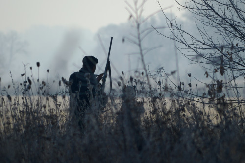 7 Best Shotguns for Hunting in 2025