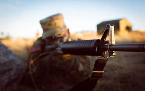 What Is the Effective Range of an AR-15?