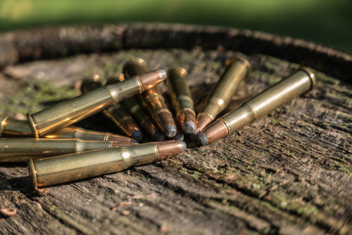 Best .30-30 Winchester for Your Next Hunting Excursion