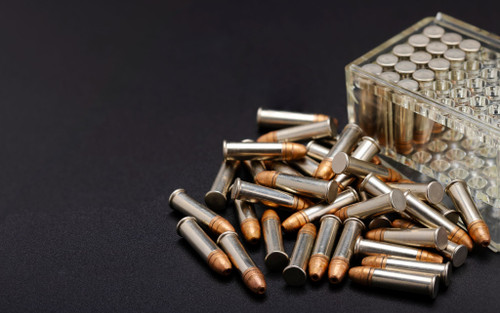 5 Best .22LR Ammo Options for Target Shooting and Hunting