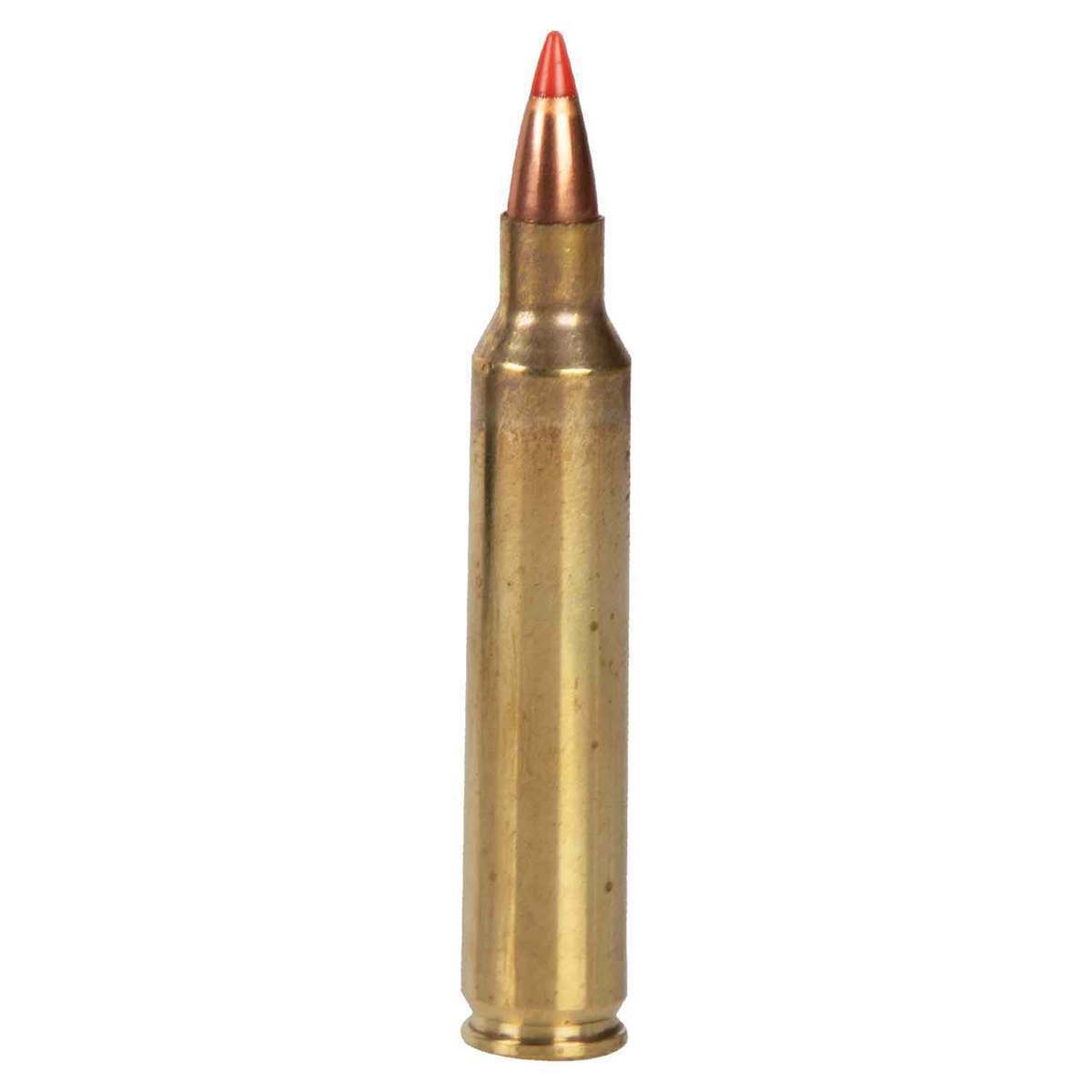 204 Ruger Ammo