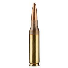 260 Remington Ammo