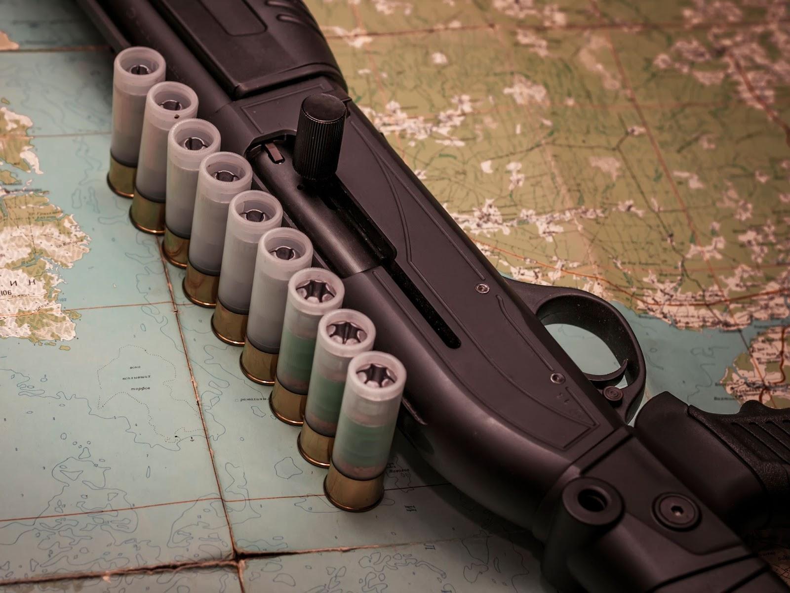 Best 12 Gauge Shotgun Shells for Hunting and Home Defense - ProArmory