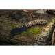 Tops Knives - Sheep Creek Fixed Blade