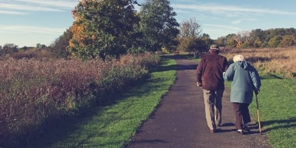 Osteoporosis - Can Tea Help?