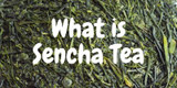 The Ubiquitous Elixir: Introduction to Sencha