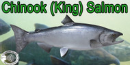 Best Knives to Fillet Chinook (King) Salmon