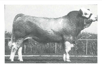 Alpine Polled Proto