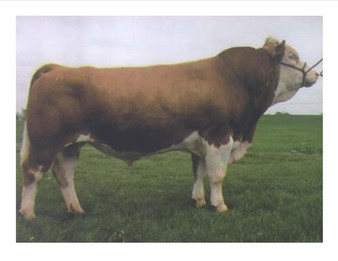 Widespread Leader PB