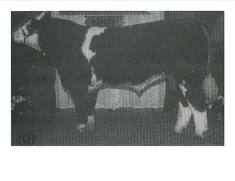 Holley's By The Numbers