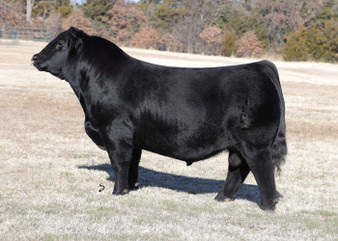 Husker 