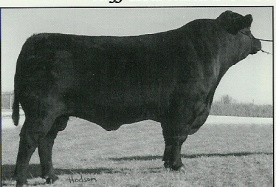 Hoff Heartland SC456