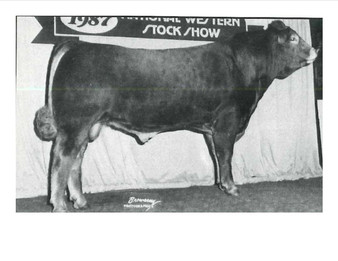 Desperado 5103T