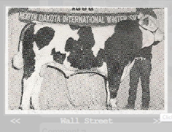 Wallstreet
