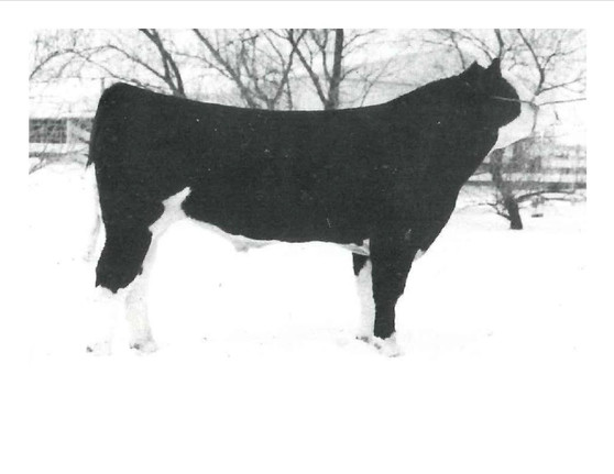 NOMAD