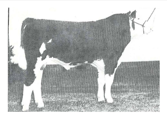Papillion
