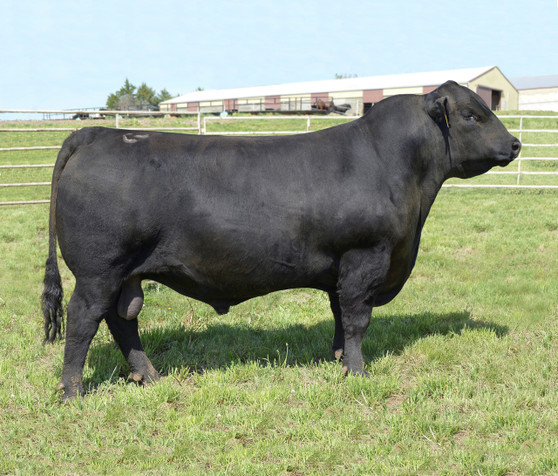 Baldridge Titan