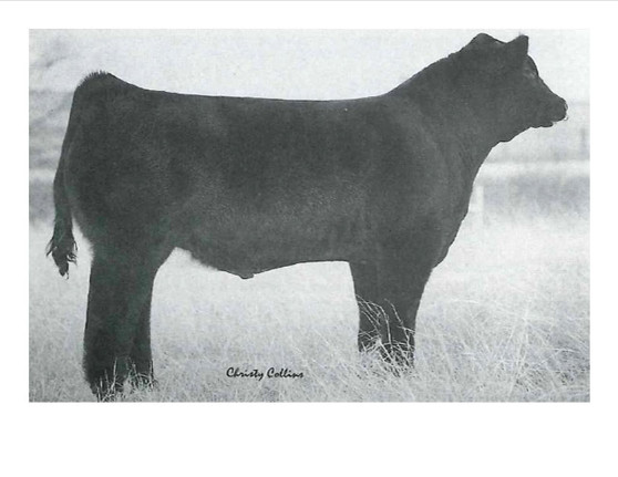 BK Ice Pick 472J