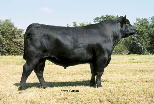 J239 (WCC Precision E161 J239)