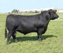 Baldridge Titan