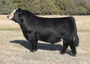 RWA DISTINCTION D2R 