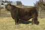 Empire 720E 