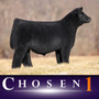 Chosen 1 