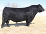 RAINMAKER (BASIN RAINMAKER 4404)