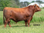 MAKING LIFE GREAT 722-40M